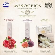 MESOGEIOS FRUITS