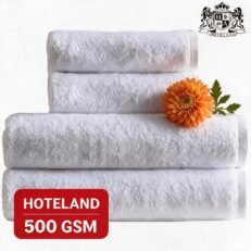 H-SILVER 50-ΛΑΒΕΤΕΣ ΧΕΡΙΩΝ (0,30 x 0,30) 500 gsm PLAIN-FLAT Mε Long-Life Τελειωμα/(ΙΔΑΝΙΚΗ ΓΙΑ ΚΕΝΤΗΜΕΝΑ ΛΟΓΟΤΥΠΑ)