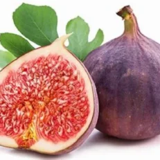 Alternative view of GREEK MESOGEIOS FRUITS-Aφρολουτρο/Shοwer Gel σε EΠANAΓEMIZOMENO μπουκαλι με Αντλια (DISPENSER) 400ml με άρωμα συκο (9 τμχ/κιβώτιο) EΛΛΗΝΙΚΟ ΠΡΟΙΟΝ