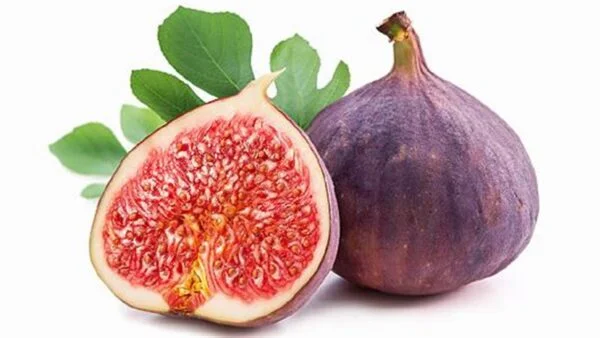 GREEK MESOGEIOS FRUITS-Ενυδατικη Κρεμα Σωματος/Body Lotion σε EΠANAΓEMIZOMENO μπουκαλι με Αντλια (DISPENSER) 400ml με άρωμα συκο (9 τμχ/κιβώτιο) EΛΛΗΝΙΚΟ ΠΡΟΙΟΝ - Image 2